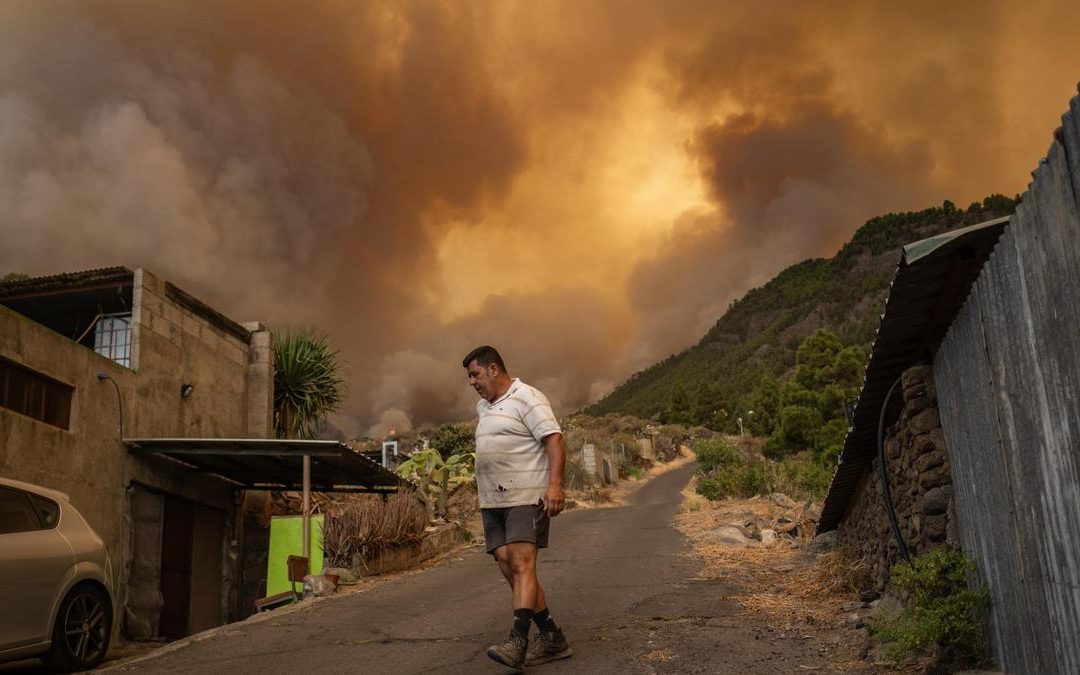 El Gobierno canario emite 54.000 bonos consumo para afectados por el incendio de Tenerife